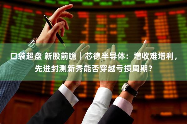 口袋超盘 新股前瞻｜芯德半导体：增收难增利，先进封测新秀能否穿越亏损周期？