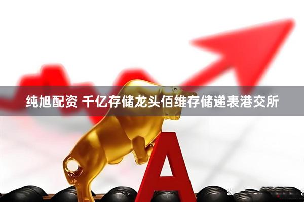 纯旭配资 千亿存储龙头佰维存储递表港交所