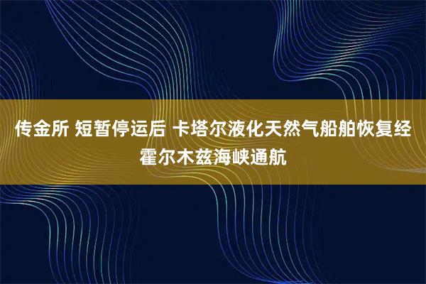 传金所 短暂停运后 卡塔尔液化天然气船舶恢复经霍尔木兹海峡通航